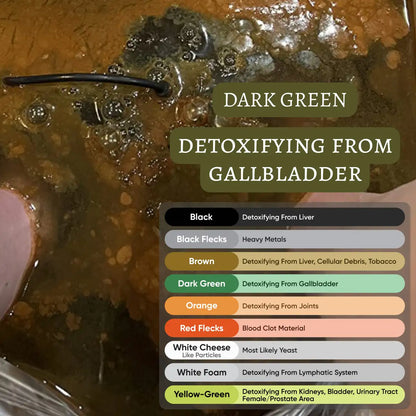 Pure Detox Ionic Foot Spa | Remove Toxins and Heavy Metals for a Healthier Life